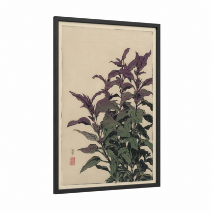 Purple Herb Study framed herbs print — black wood frame — purple and green palette