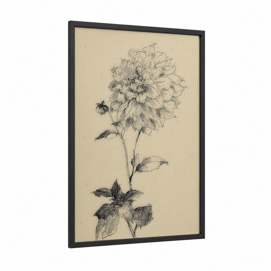 Botanical Dahlia framed art print — black wood frame — black and white and beige palette