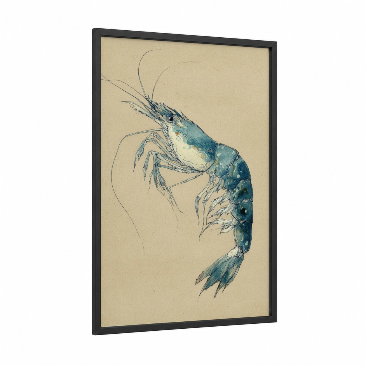 Azure Shrimp framed art print — black wood frame — blue and cream palette