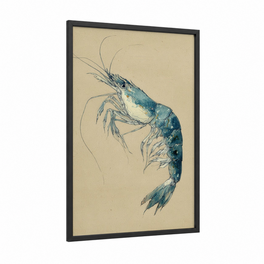 Azure Shrimp framed art print — black wood frame — blue and cream palette