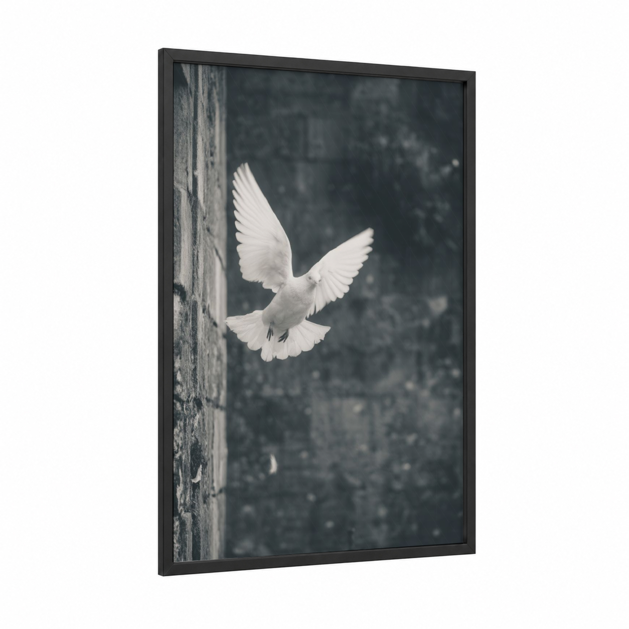 Peaceful Dove framed art print — black wood frame — white and gray palette
