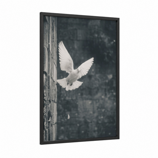 Peaceful Dove framed art print — black wood frame — white and gray palette