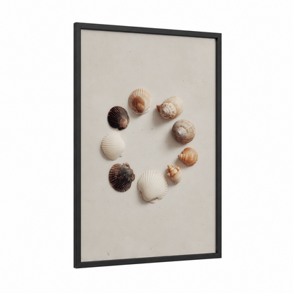 Neutral Seashell Circle framed art print — black wood frame — cream and nobel palette