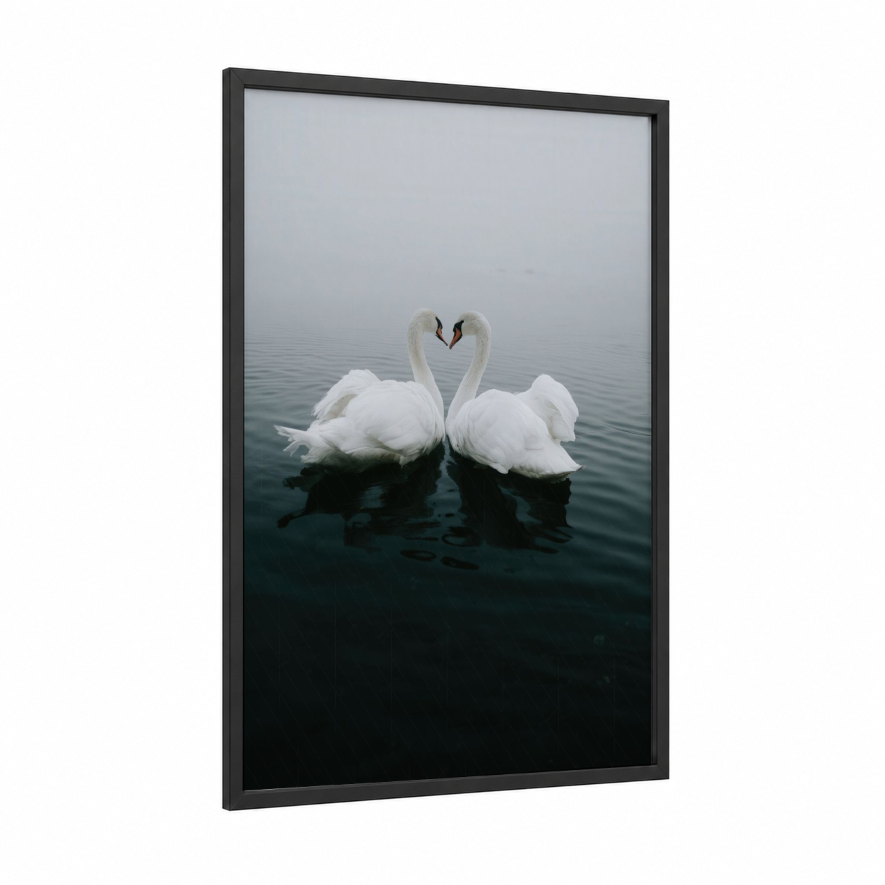 Heart Swans framed art print — black wood frame — white and gray and white palette