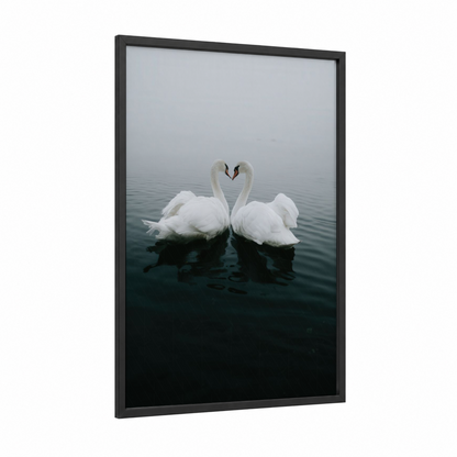 Heart Swans framed art print — black wood frame — white and gray and white palette