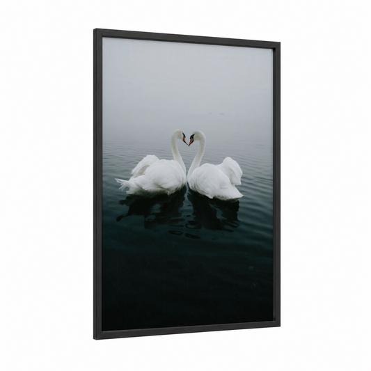 Heart Swans framed art print — black wood frame — white and gray and white palette