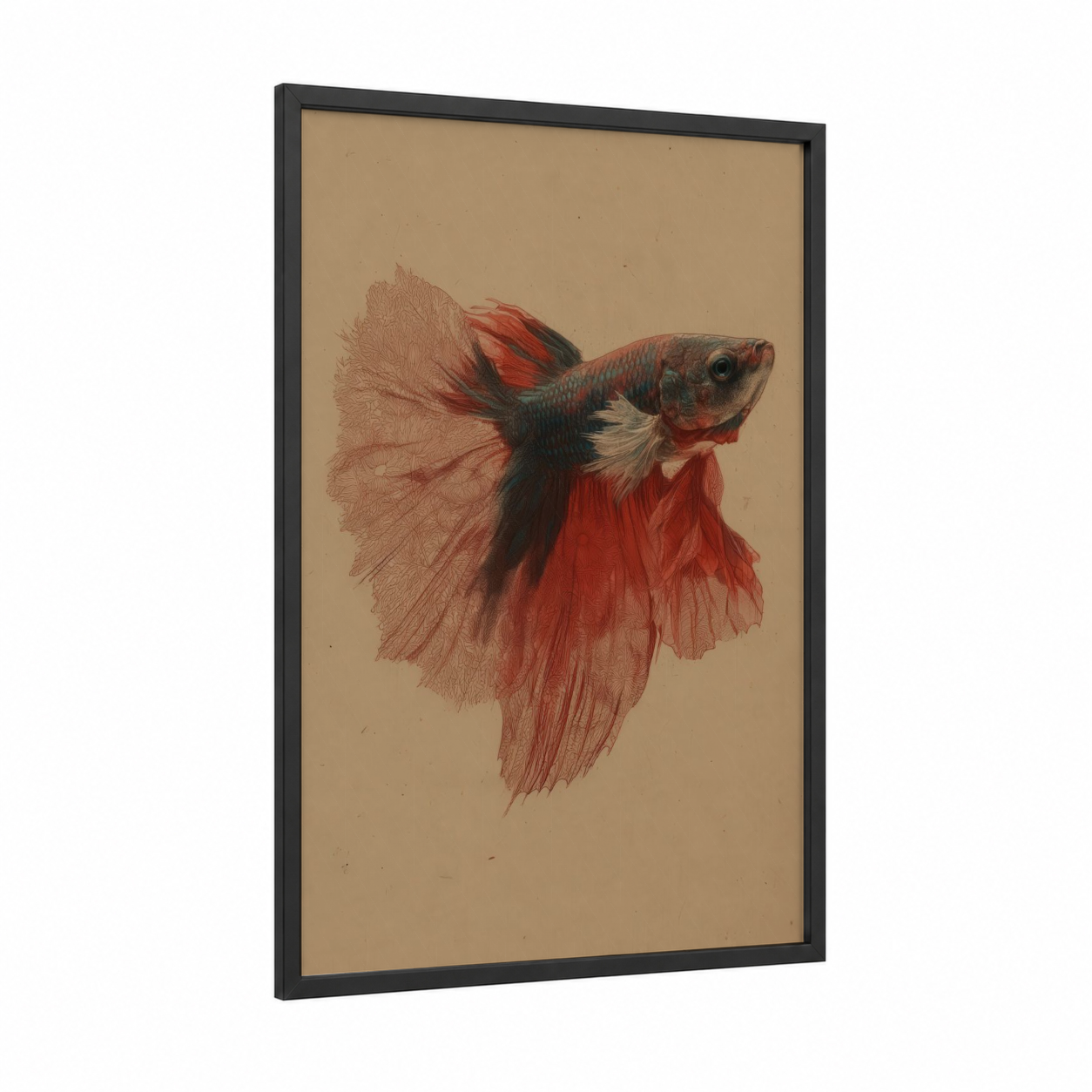 Crimson Betta framed fighting fish print — black wood frame — red and beige palette