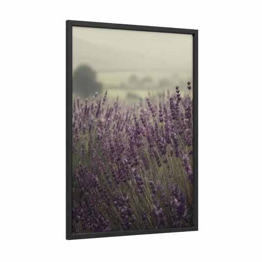 Misty Lavender Field framed art print — black wood frame — lavender and sage green palette