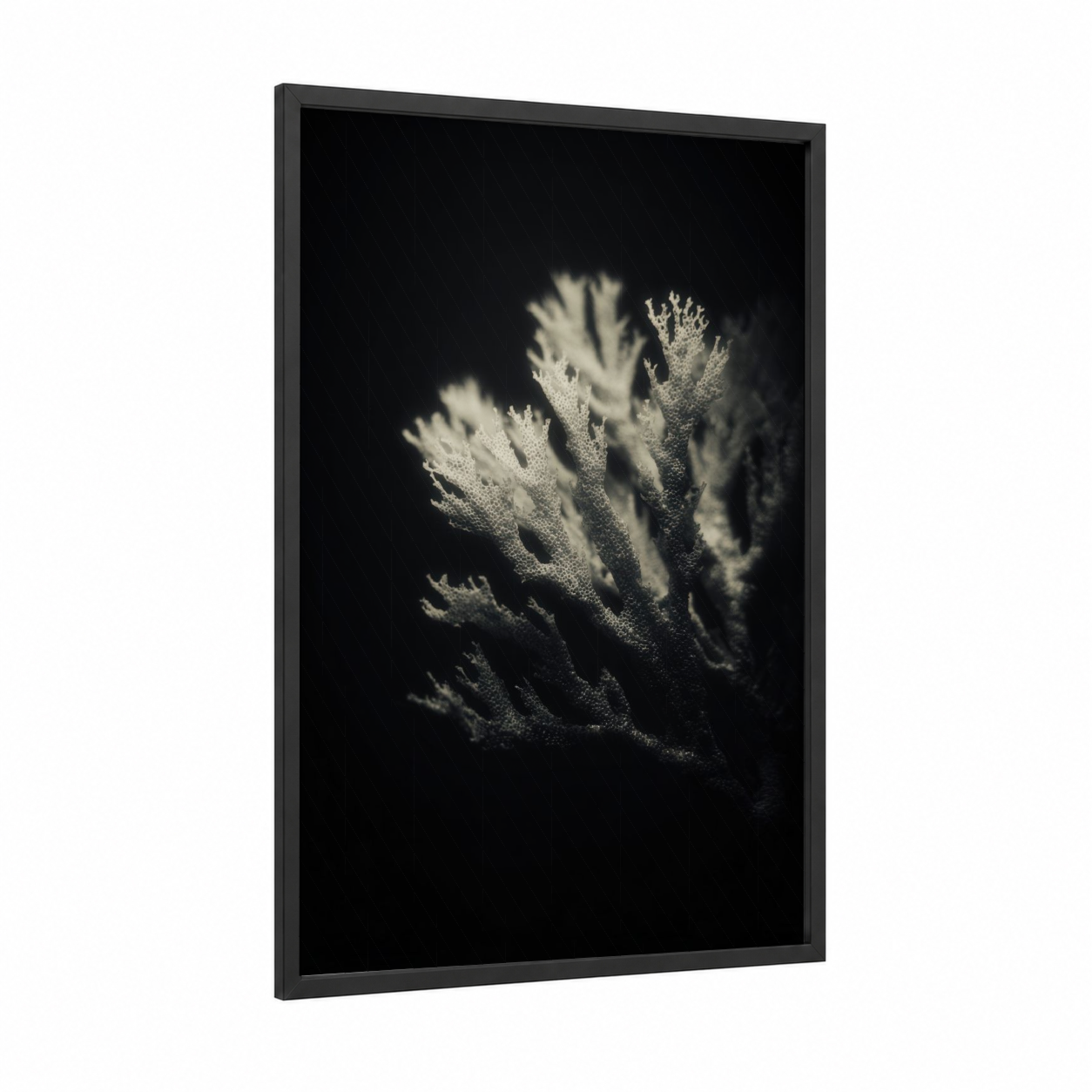 Luminous Coral framed art print — black wood frame — black and white and gray palette