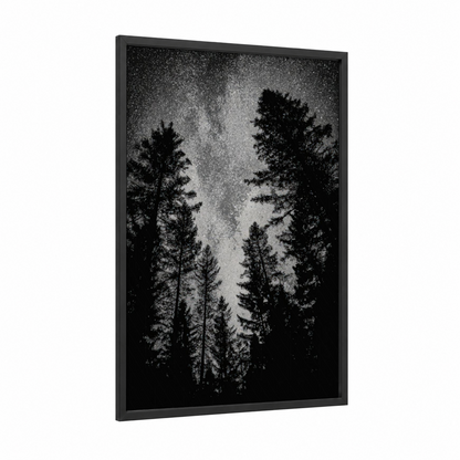 Starlit Forest framed night sky print — black wood frame — black and white and gray palette