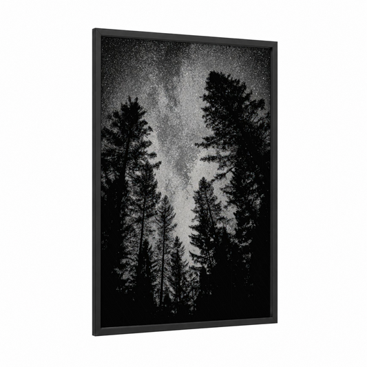 Starlit Forest framed night sky print — black wood frame — black and white and gray palette