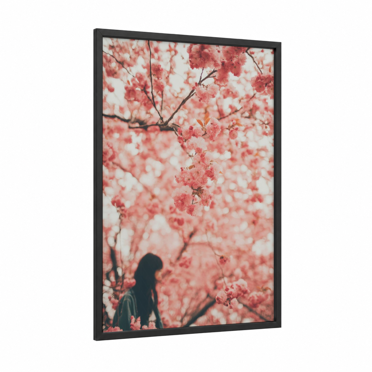 Pink Blossom Wonder framed cherry blossoms print — black wood frame — pink and white palette