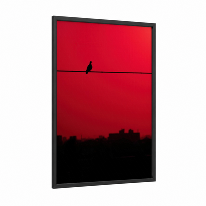 Urban Sentinel Pigeon framed art print — black wood frame — red and black palette