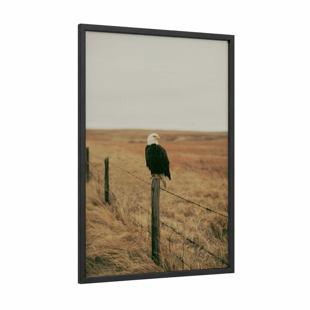 Prairie Eagle Sentinel framed art print — black wood frame — russet and gray palette