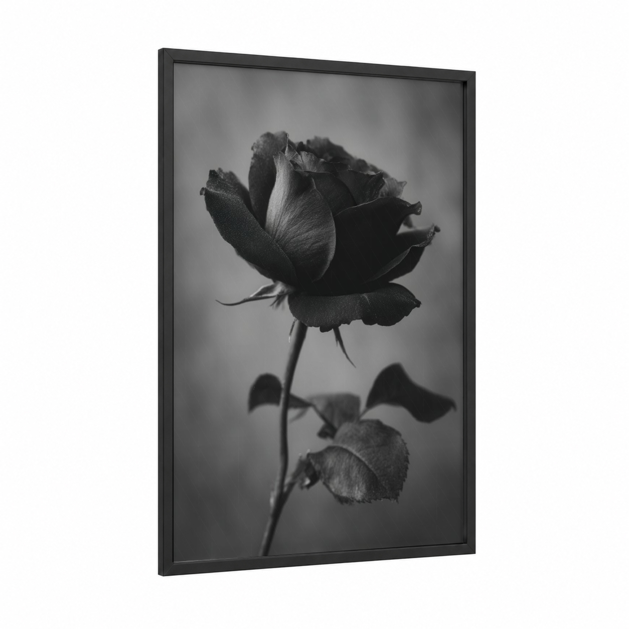 Midnight Rose framed roses print — black wood frame — black and white palette
