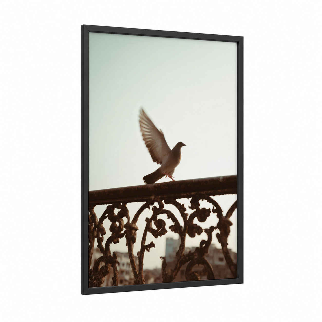 Urban Pigeon Wings framed art print — black wood frame — gray and dove gray palette