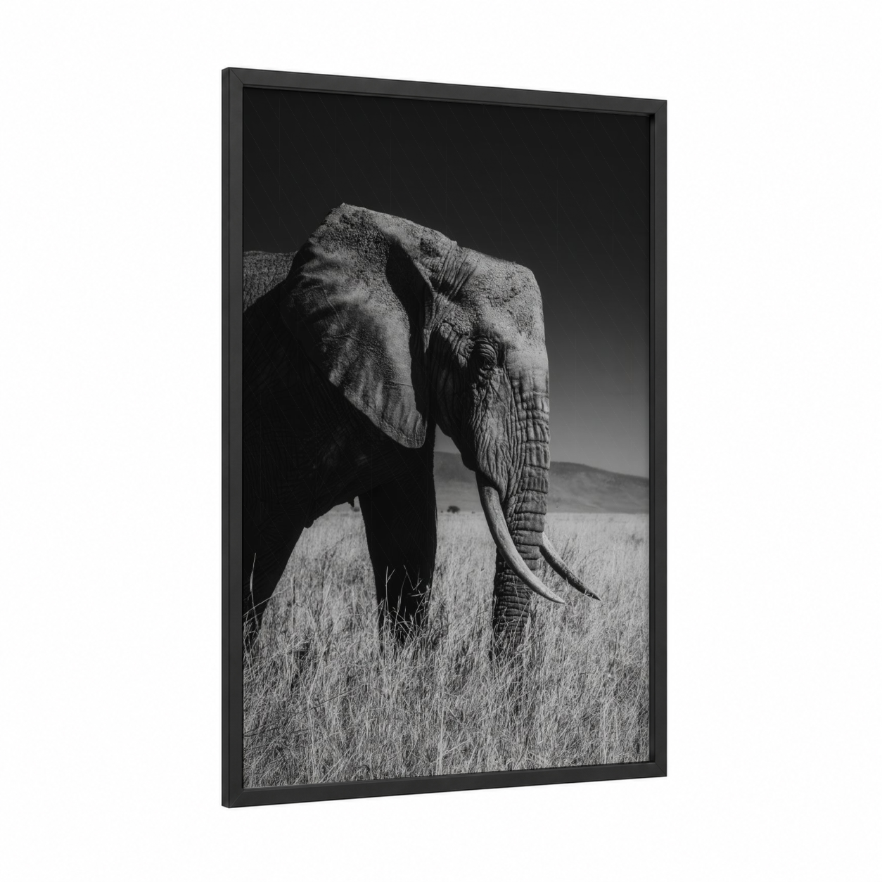 Majestic Savanna Elephant framed art print — black wood frame — black and white and gray palette