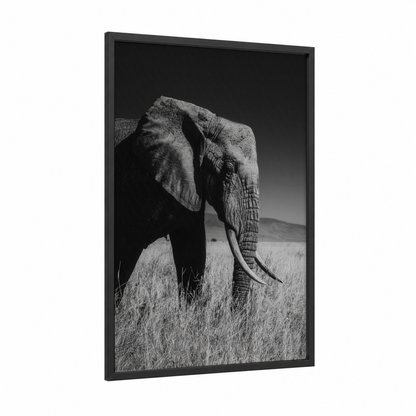 Majestic Savanna Elephant framed art print — black wood frame — black and white and gray palette