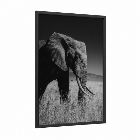 Majestic Savanna Elephant framed art print — black wood frame — black and white and gray palette