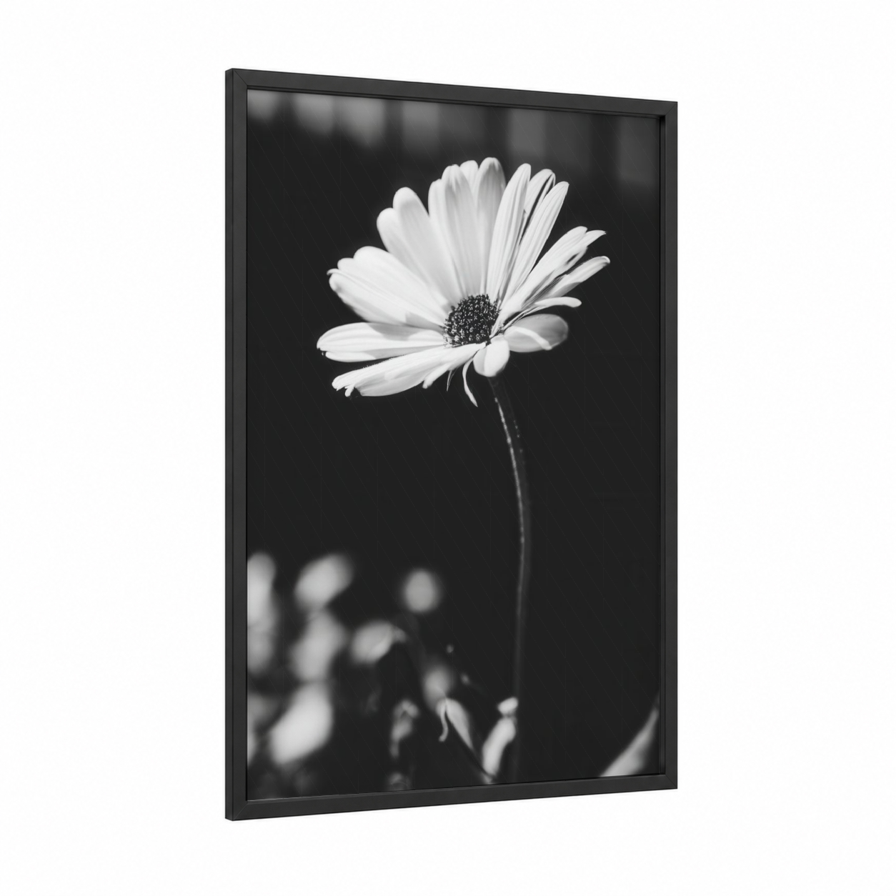 Monochrome Daisy framed abstract flower print — black wood frame — black and white palette