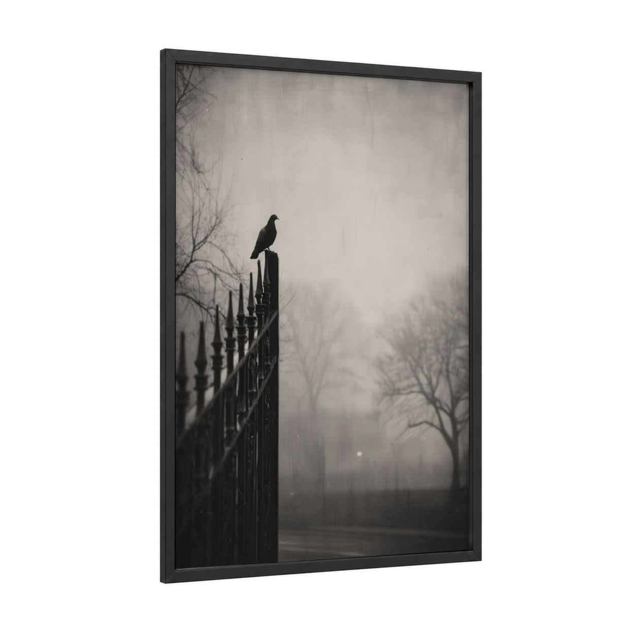 Solitary Dove framed art print — black wood frame — black and white and dove gray palette