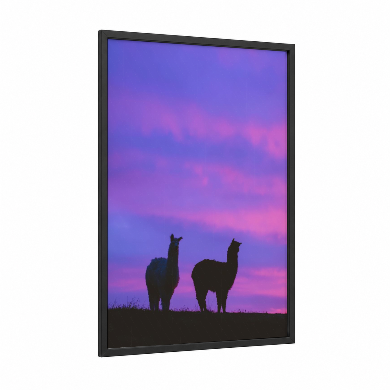 Twilight Alpacas framed art print — black wood frame — purple and pink palette