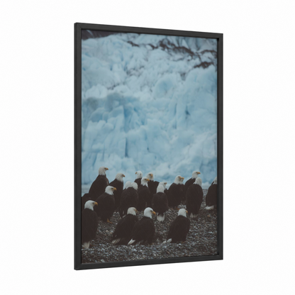 Glacier Eagle Gathering framed art print — black wood frame — blue and white and black and white palette