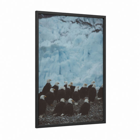 Glacier Eagle Gathering framed art print — black wood frame — blue and white and black and white palette