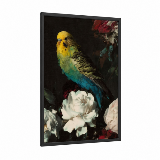 Rainbow Budgie framed budgeridar print — black wood frame — blue and gold palette