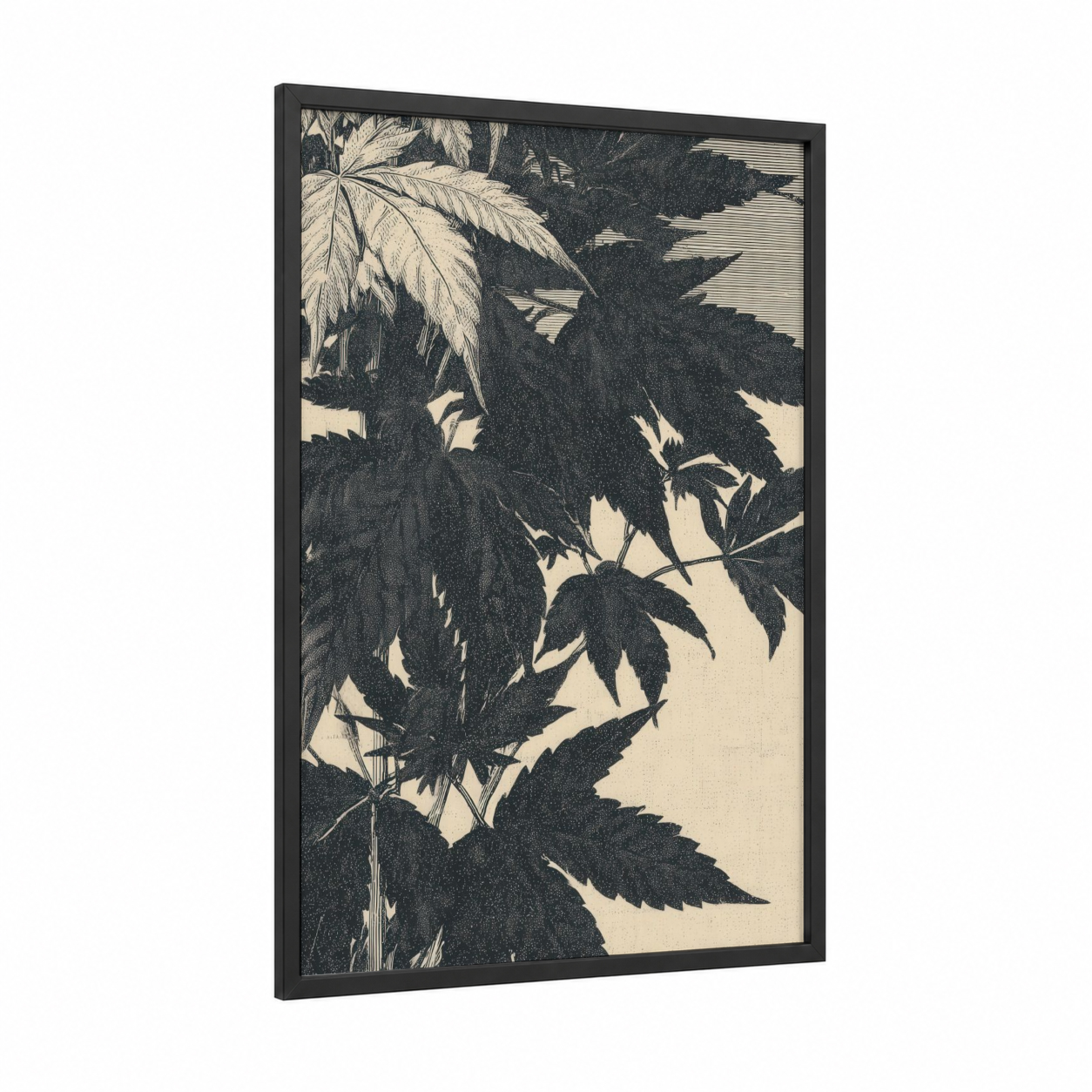 Shadow Leaf Study framed marijuana print — black wood frame — black and white palette