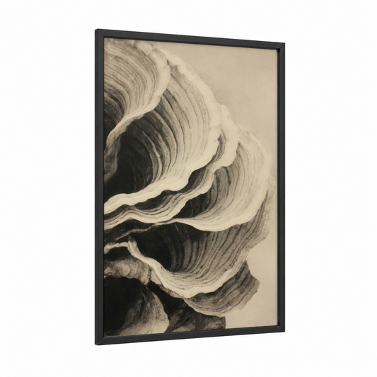 Layered Oyster Shell framed art print — black wood frame — black and white and beige palette