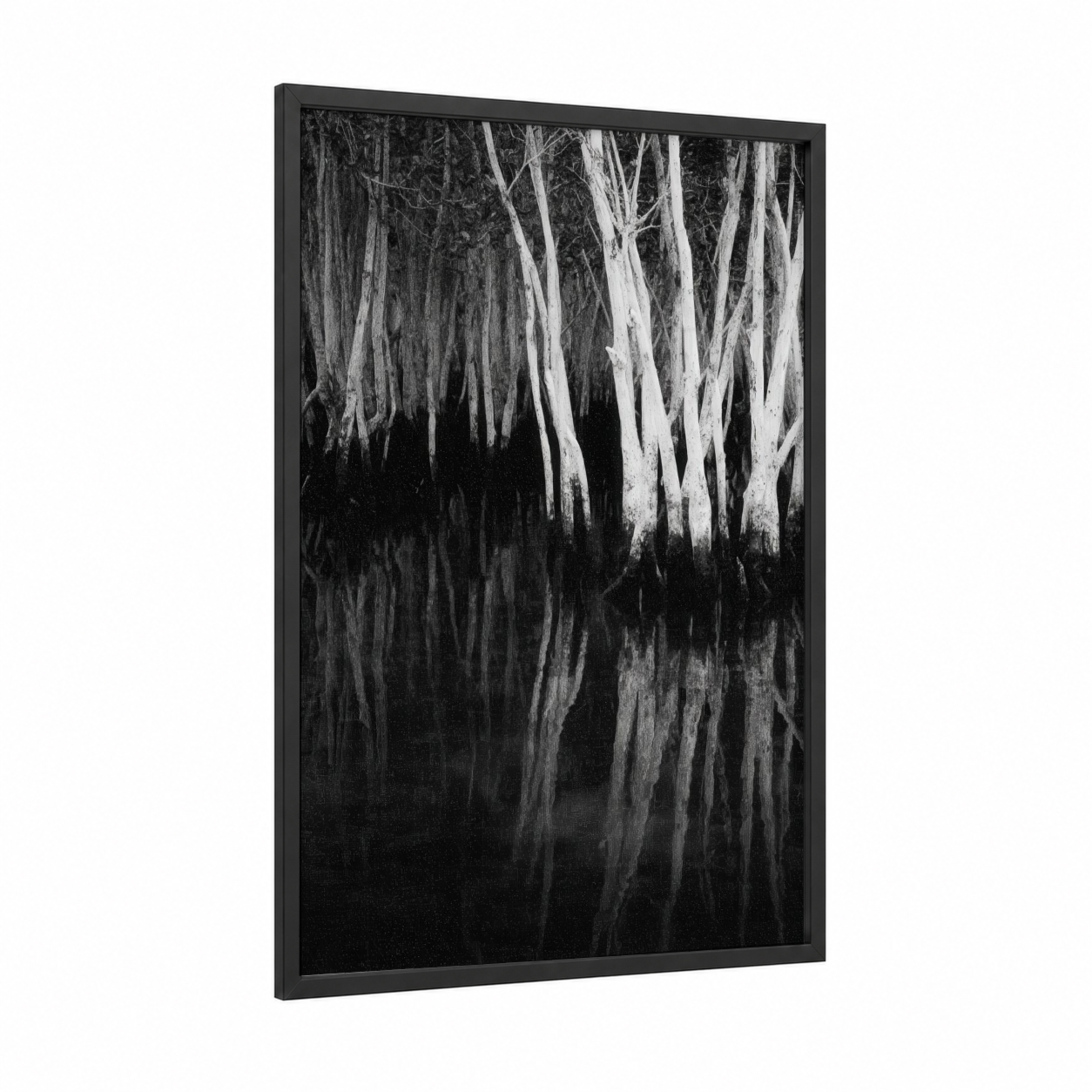 Mirrored Mangrove framed art print — black wood frame — black and white palette