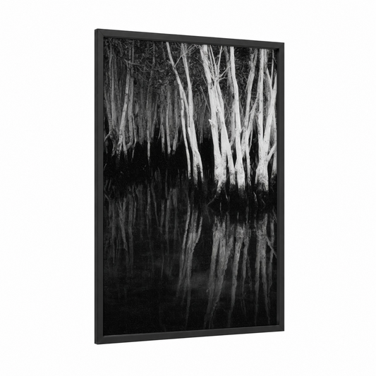 Mirrored Mangrove framed art print — black wood frame — black and white palette