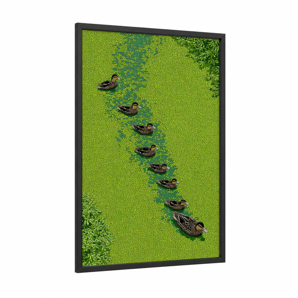 Aerial Duck Flock framed ducks print — black wood frame — lime green and teal palette