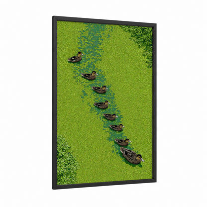 Aerial Duck Flock framed ducks print — black wood frame — lime green and teal palette