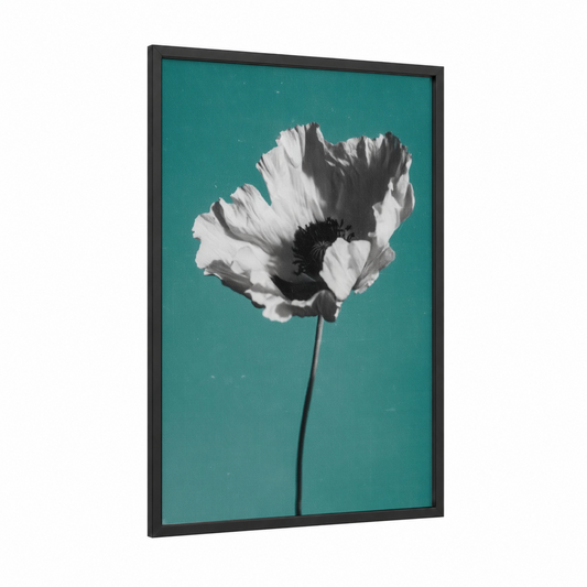 Teal Anemone framed abstract flower print — black wood frame — teal and white palette