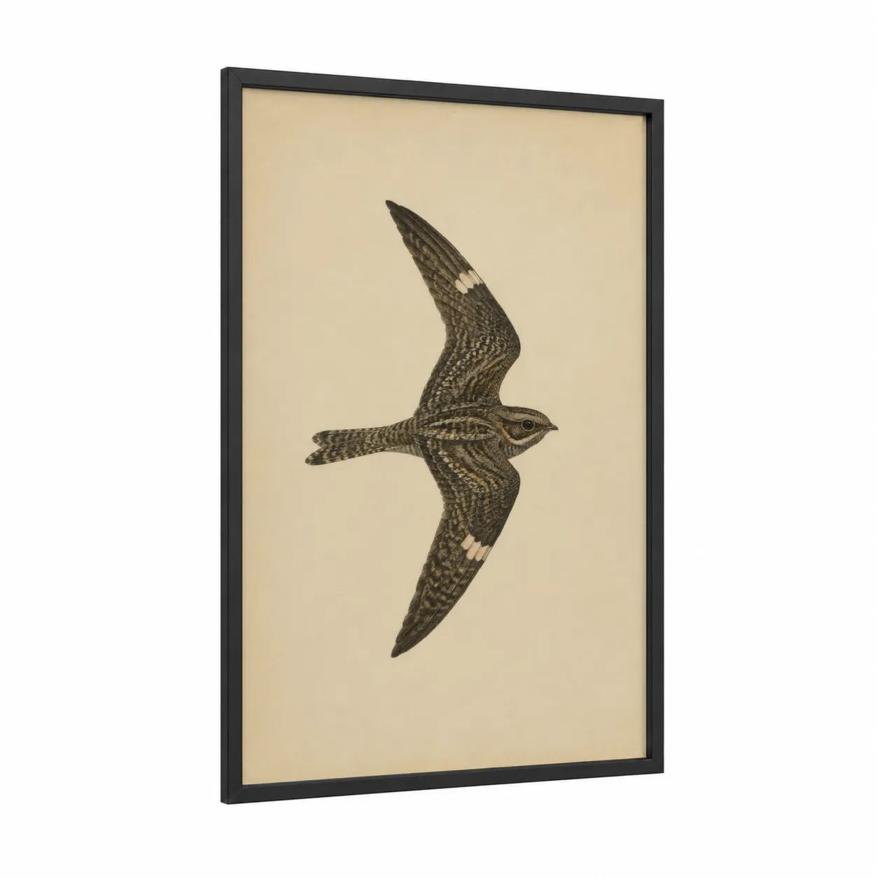 Vintage Songbird In Flight Wall Art framed birds print — black wood frame — beige and cream palette
