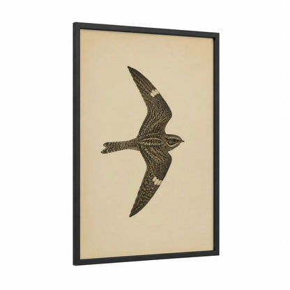 Vintage Songbird In Flight Wall Art framed birds print — black wood frame — beige and cream palette