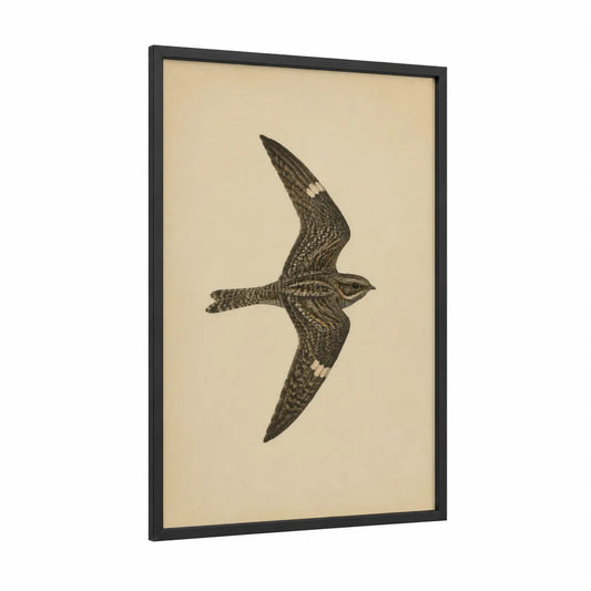 Vintage Songbird In Flight Wall Art framed birds print — black wood frame — beige and cream palette