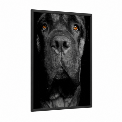 Golden-Eyed Mastiff framed art print — black wood frame — black and white palette