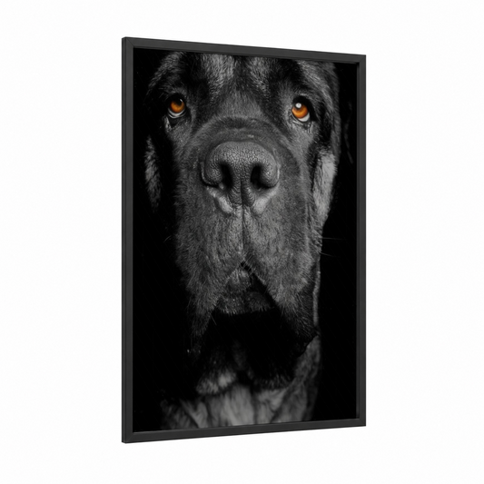 Golden-Eyed Mastiff framed art print — black wood frame — black and white palette