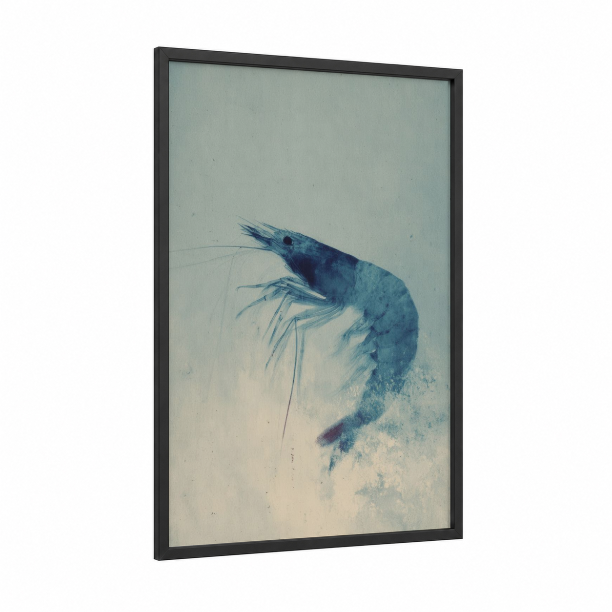 Watercolor Shrimp framed art print — black wood frame — blue and cream palette