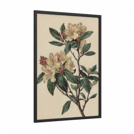 Vintage Rhododendron framed art print — black wood frame — cream and dark green palette