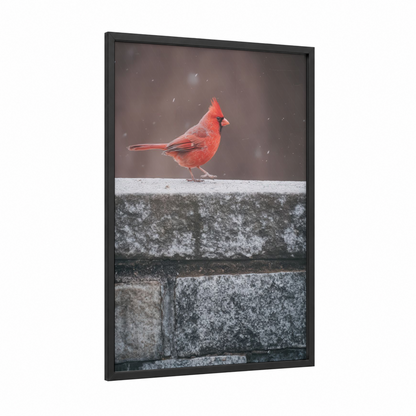 Cardinal Winter Snow framed art print — black wood frame — red and gray palette