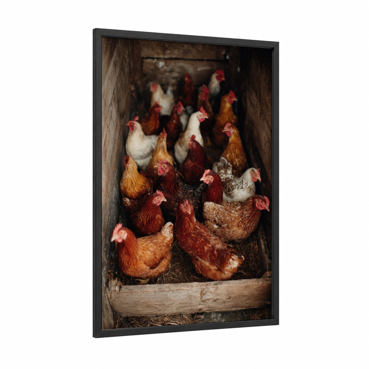 Rustic Henhouse Flock framed chicken and roosters print — black wood frame — russet and cream palette
