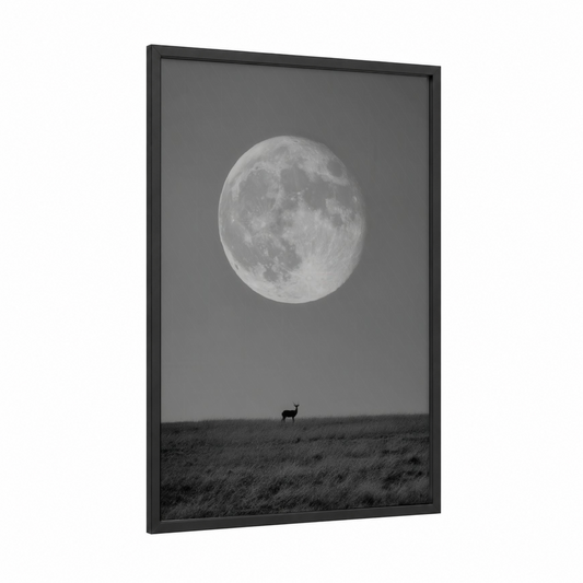 Moonlit Antelope framed art print — black wood frame — black and white and gray palette