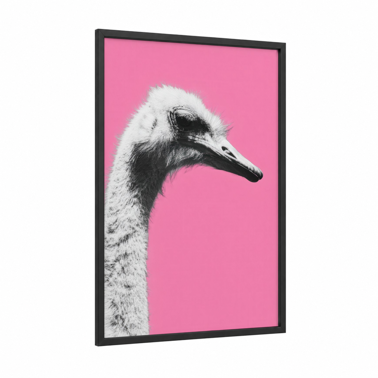 Pink Ostrich framed art print — black wood frame — black and white and pink palette