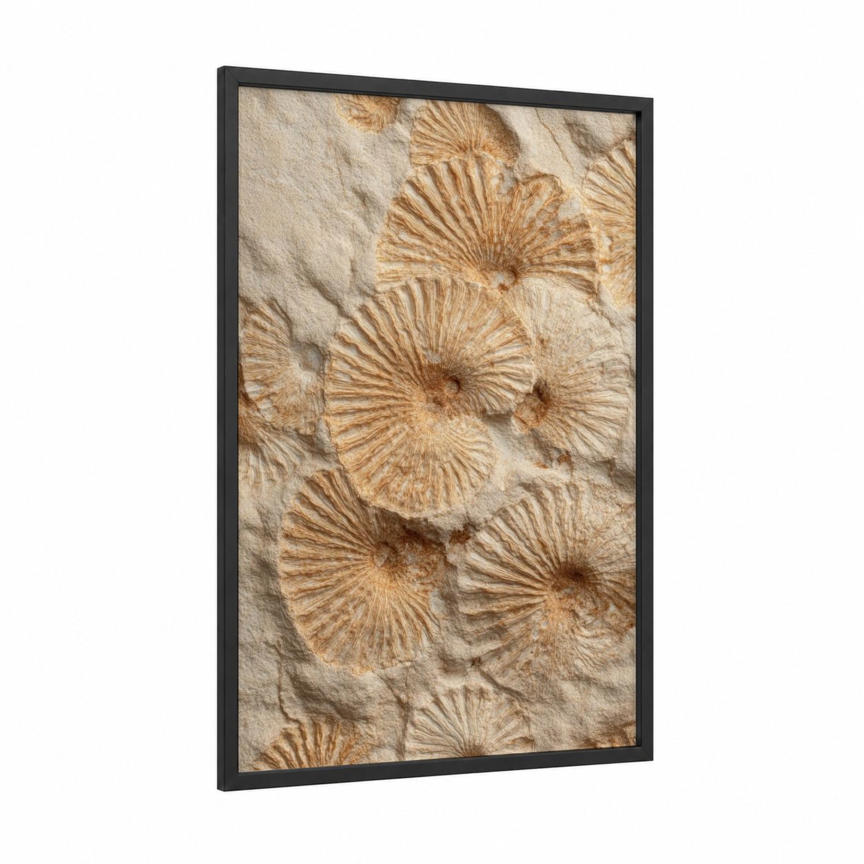 Fossil Shell Pattern framed natural stones print — black wood frame — beige and gold palette