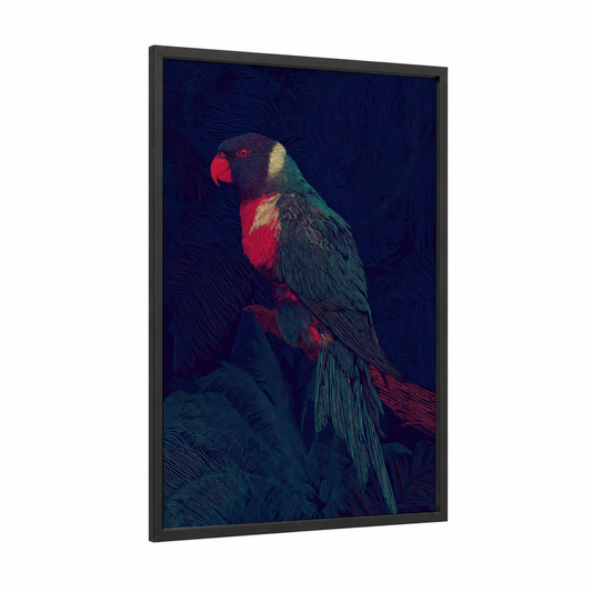 Crimson Lorikeet framed rainbow lorikeet print — black wood frame — red and dark blue palette