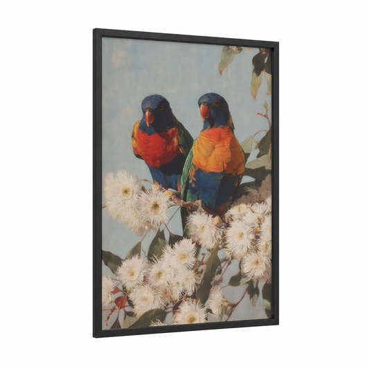 Blossom Lorikeets framed rainbow lorikeet print — black wood frame — blue and orange palette